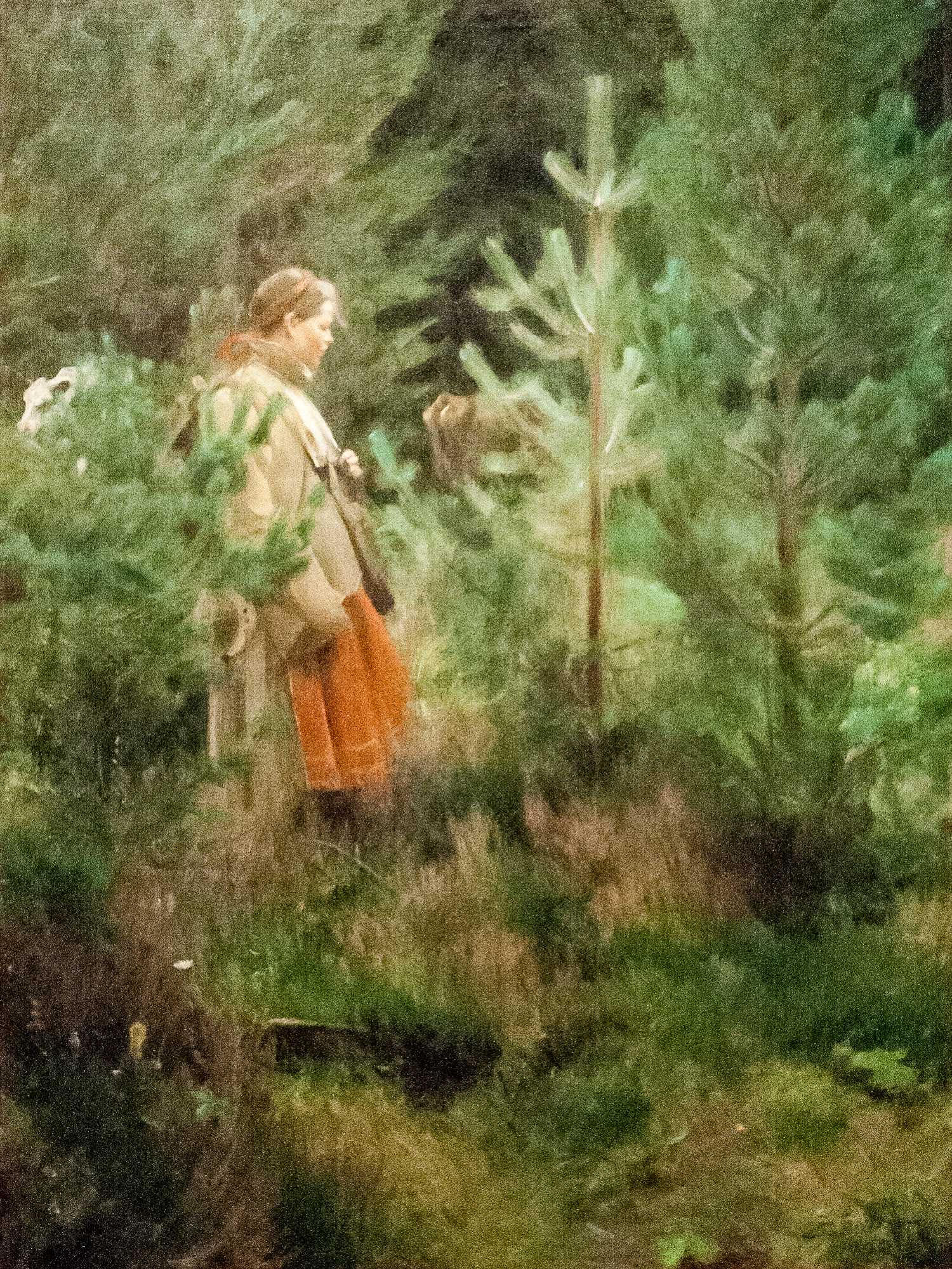 Vallkulla , 1908. Olja på duk. Zornmuseet, Mora.